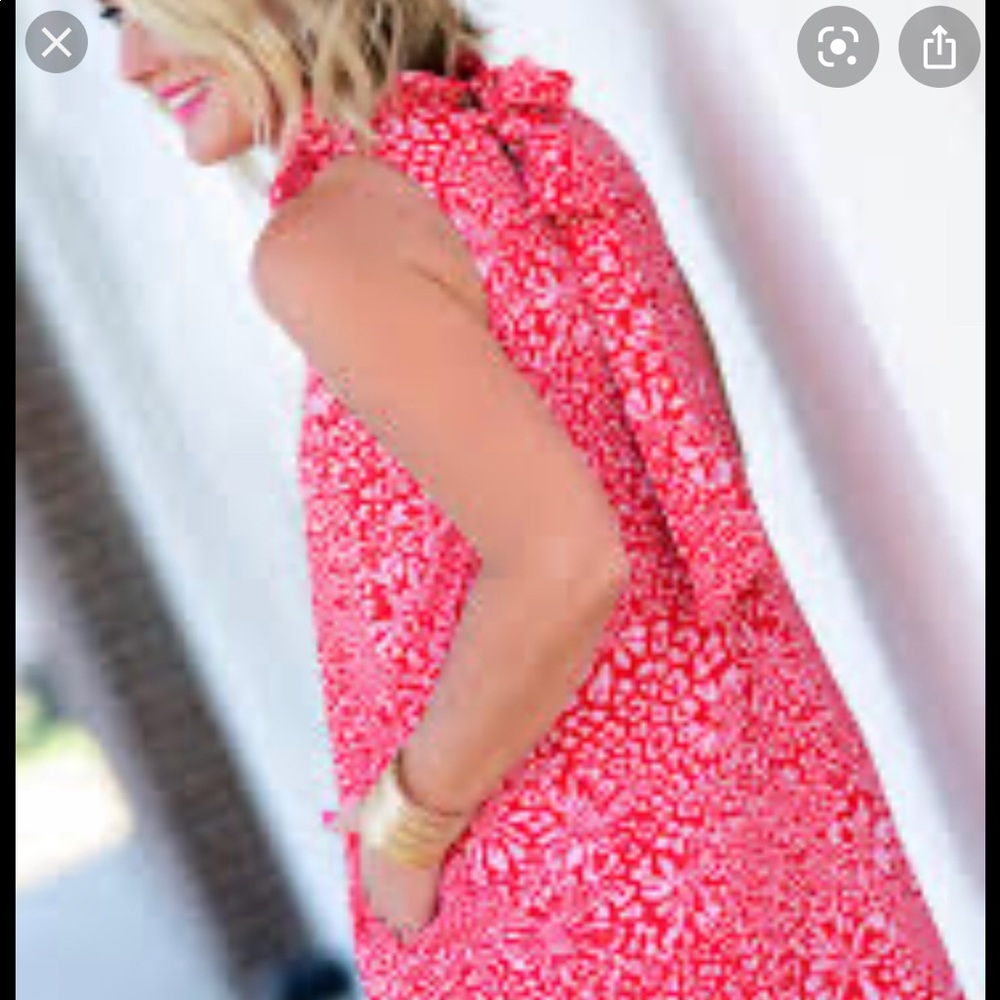 Gibson Cavallo Ruffle Neck Dress